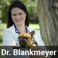 Dr_Blankmeyer_Bio